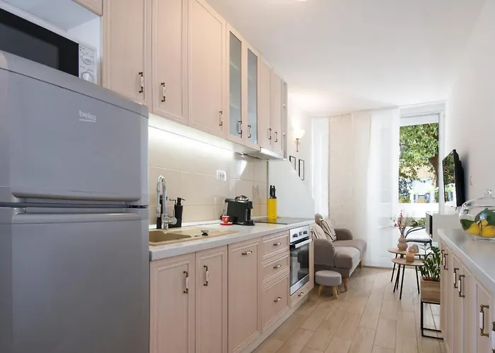 Charming Zora * 스플리트